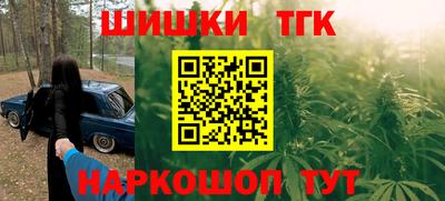 индика Мариинск