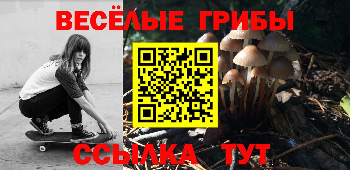 Псилоцибиновые грибы ЛСД Туапсе