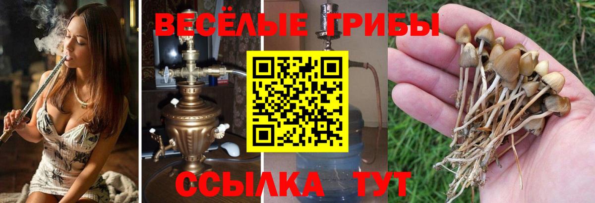 Cocaine Туапсе