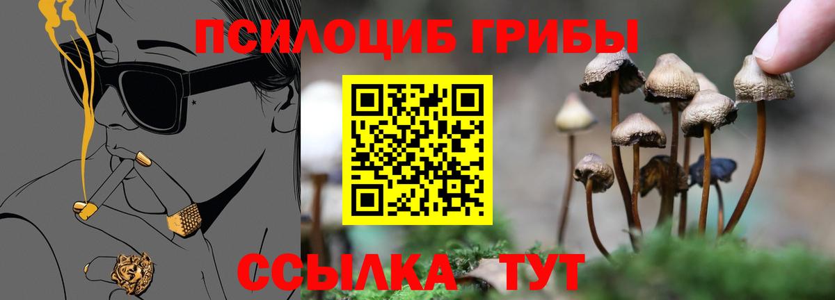 Галлюциногенные грибы Cubensis  Вход с VPN  Туапсе  Галлюциногенные грибы мухоморы 